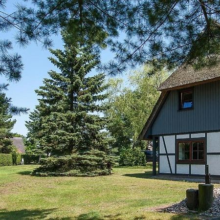 Haus Schilfkante - Wohnung 2 Wieck Zewnętrze zdjęcie