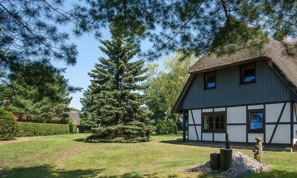 Haus Schilfkante - Wohnung 2 Wieck Zewnętrze zdjęcie