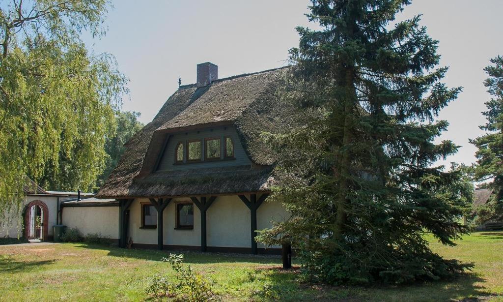 Haus Schilfkante - Wohnung 2 Wieck Zewnętrze zdjęcie